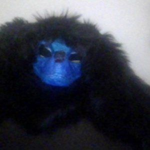 dinosaur mask